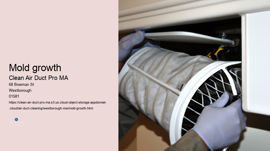 Mold growth